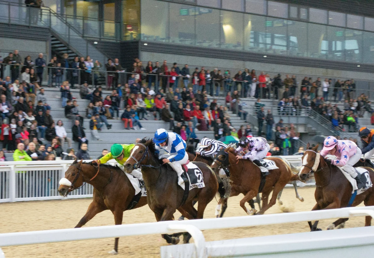 Ordre d’arrivée officiel du Quinté du 26/10/2025 à Saint-Cloud : analyse complète des performances 🏇