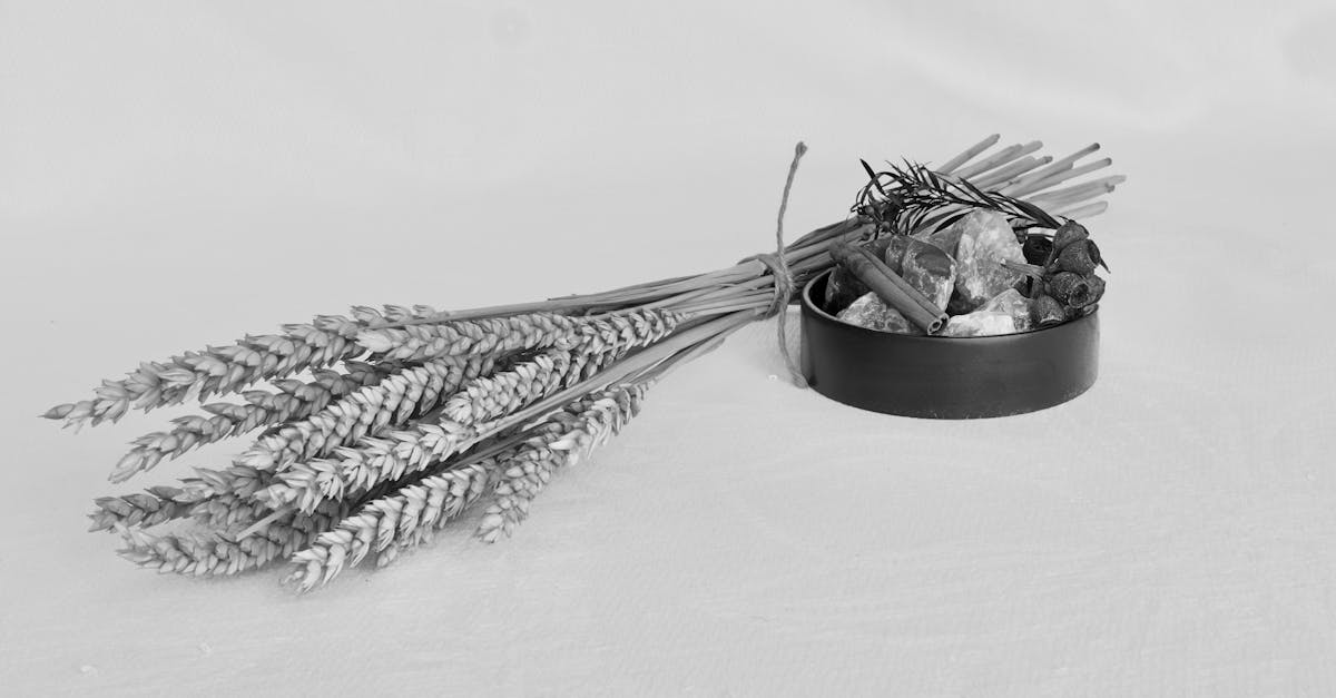 découvrez ce qu'est le phishing, comment le reconnaître et comment vous protéger contre ces tentatives frauduleuses en ligne visant à dérober vos informations personnelles.