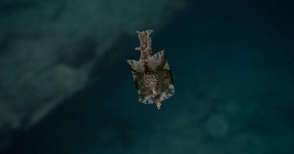 découvrez ce qu'est le phishing, comment le reconnaître et vous protéger contre cette technique d'hameçonnage utilisée pour voler vos données personnelles en ligne.