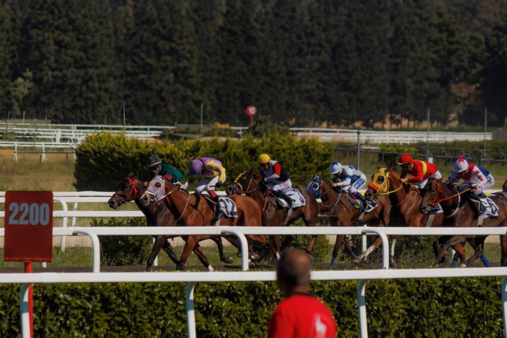 Quinté Vincennes 19 juin 2026, Prix Rhodope, chevaux de course et jockeys