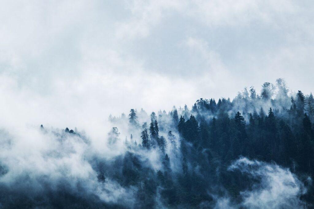 Haute-Corse : 400 ha brûlés, feux sous contrôle